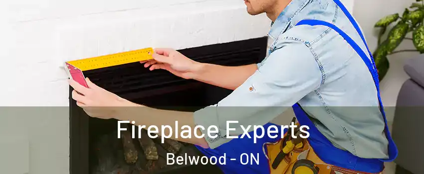  Fireplace Experts Belwood - ON
