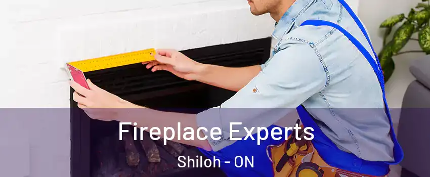  Fireplace Experts Shiloh - ON