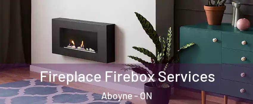  Fireplace Firebox Services Aboyne - ON