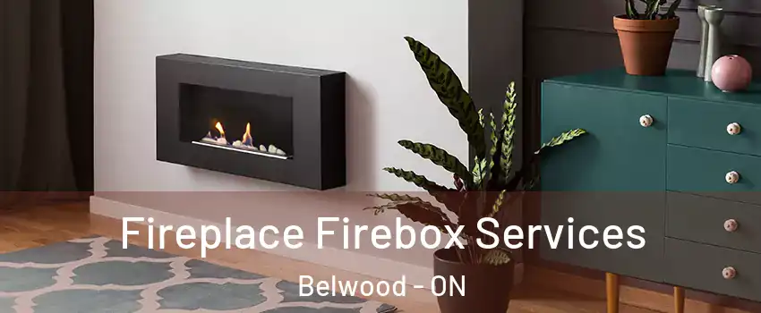  Fireplace Firebox Services Belwood - ON