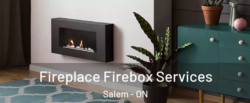  Fireplace Firebox Services Salem - ON