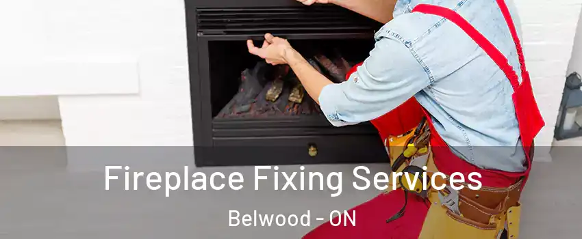  Fireplace Fixing Services Belwood - ON