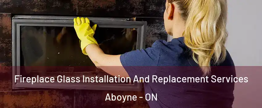  Fireplace Glass Installation And Replacement Services Aboyne - ON