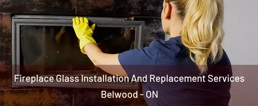  Fireplace Glass Installation And Replacement Services Belwood - ON