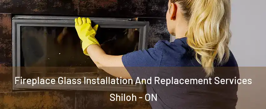  Fireplace Glass Installation And Replacement Services Shiloh - ON