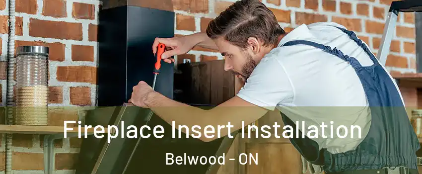  Fireplace Insert Installation Belwood - ON