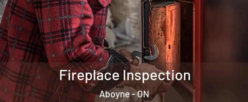  Fireplace Inspection Aboyne - ON