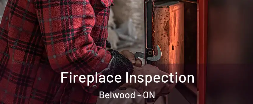  Fireplace Inspection Belwood - ON