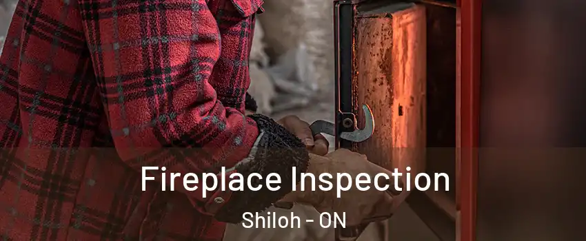  Fireplace Inspection Shiloh - ON