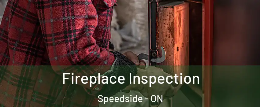  Fireplace Inspection Speedside - ON