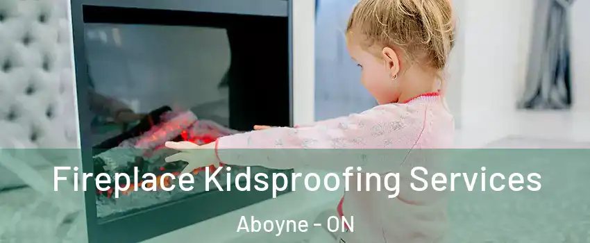  Fireplace Kidsproofing Services Aboyne - ON