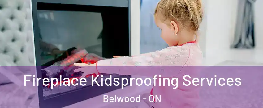  Fireplace Kidsproofing Services Belwood - ON