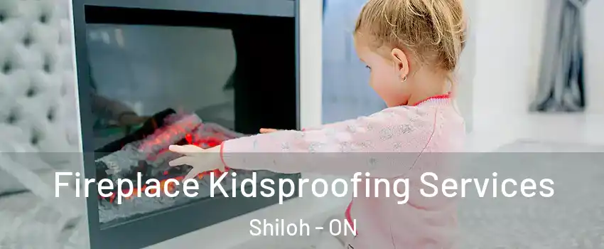  Fireplace Kidsproofing Services Shiloh - ON