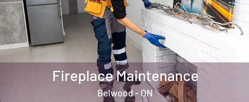  Fireplace Maintenance Belwood - ON