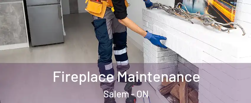  Fireplace Maintenance Salem - ON
