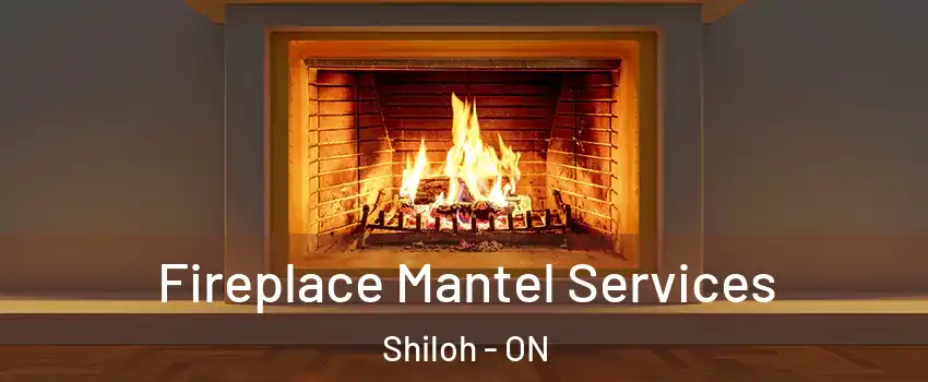  Fireplace Mantel Services Shiloh - ON