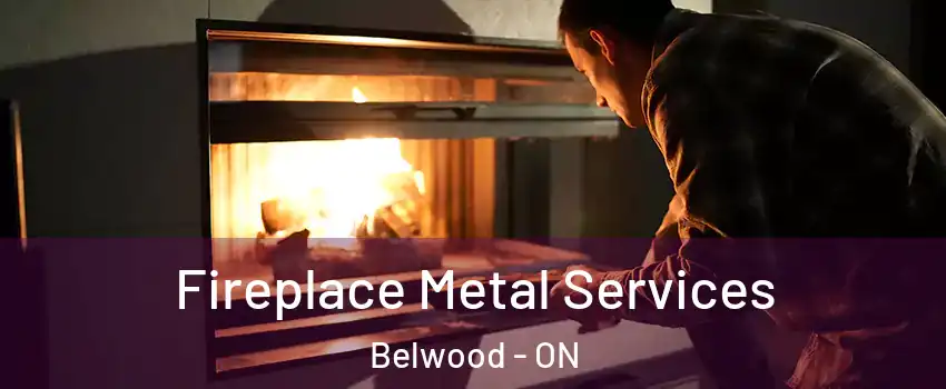  Fireplace Metal Services Belwood - ON