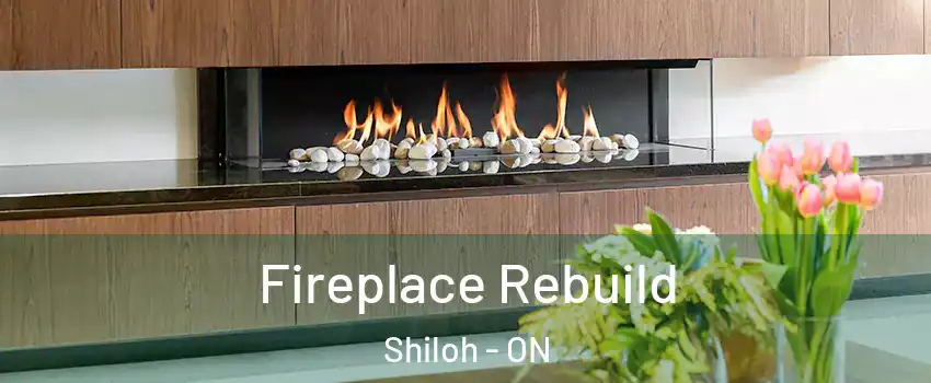  Fireplace Rebuild Shiloh - ON