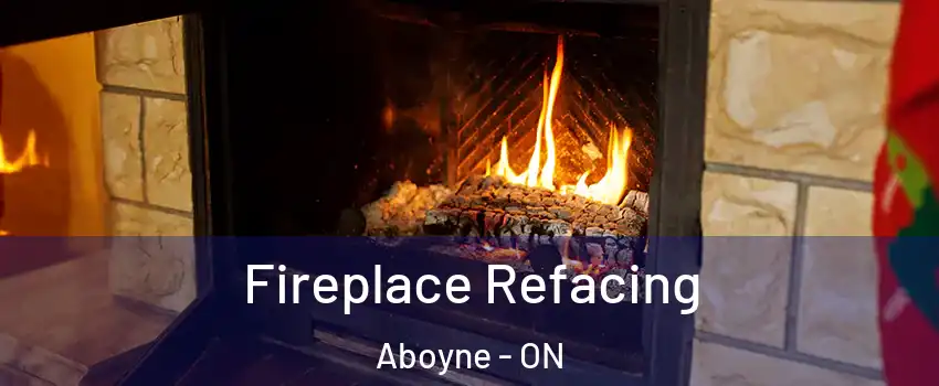  Fireplace Refacing Aboyne - ON