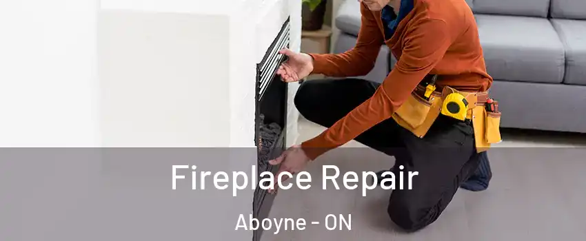  Fireplace Repair Aboyne - ON