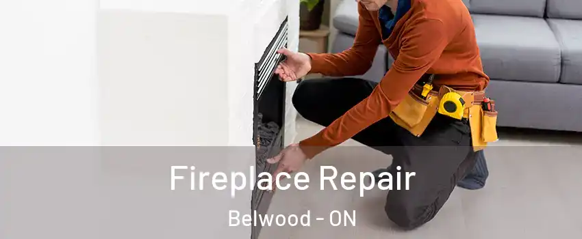  Fireplace Repair Belwood - ON