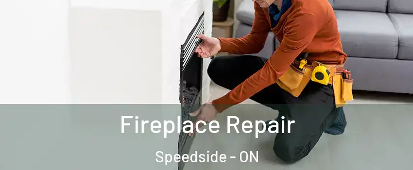 Fireplace Repair Speedside - ON