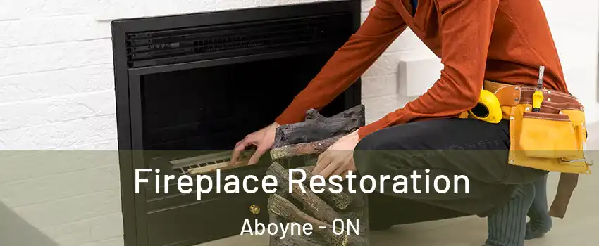 Fireplace Restoration Aboyne - ON