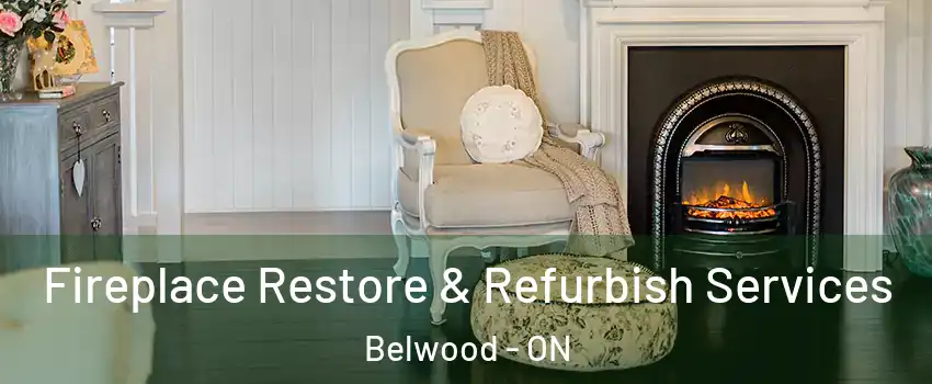  Fireplace Restore & Refurbish Services Belwood - ON