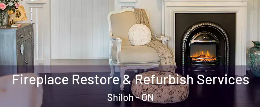  Fireplace Restore & Refurbish Services Shiloh - ON