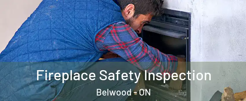  Fireplace Safety Inspection Belwood - ON