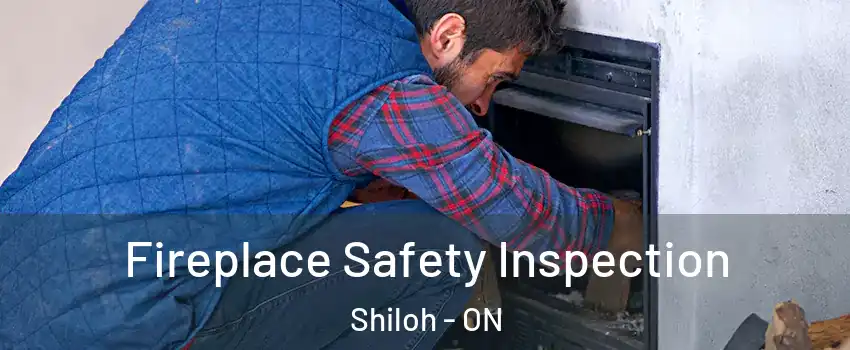  Fireplace Safety Inspection Shiloh - ON