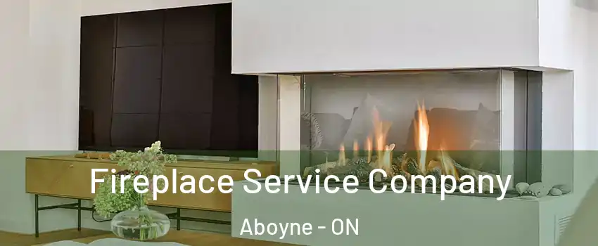  Fireplace Service Company Aboyne - ON