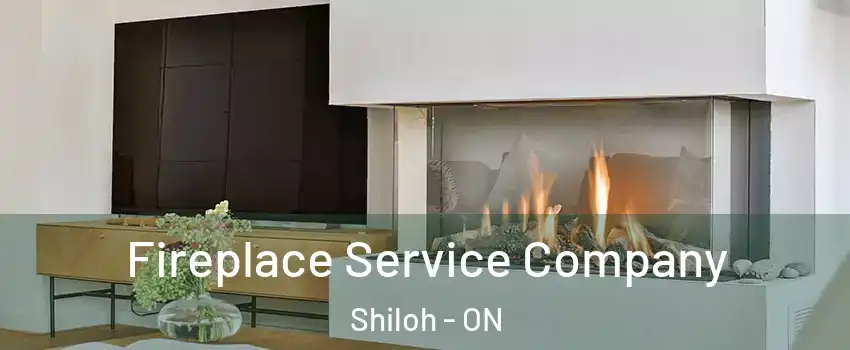  Fireplace Service Company Shiloh - ON