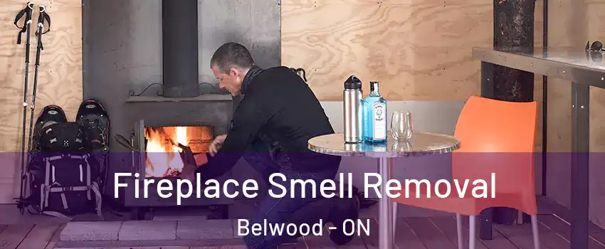 Fireplace Smell Removal Belwood - ON