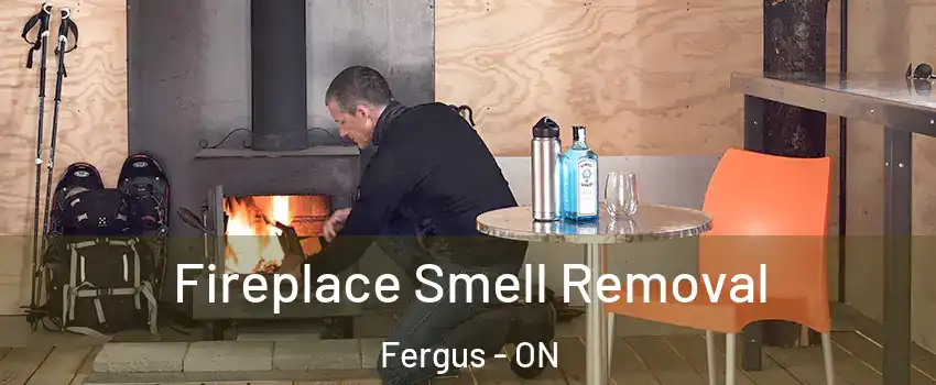  Fireplace Smell Removal Fergus - ON