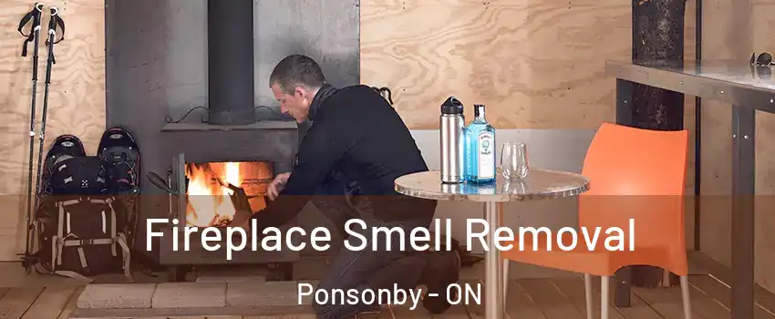  Fireplace Smell Removal Ponsonby - ON