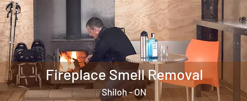  Fireplace Smell Removal Shiloh - ON
