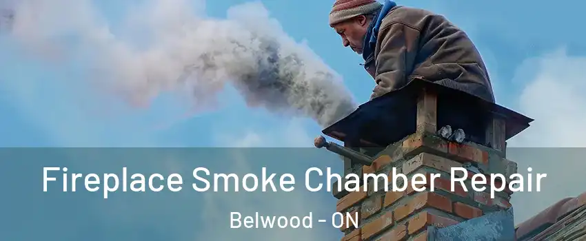  Fireplace Smoke Chamber Repair Belwood - ON