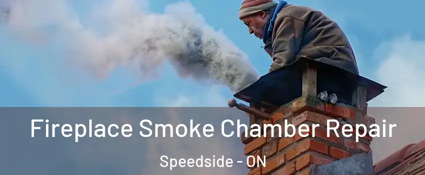  Fireplace Smoke Chamber Repair Speedside - ON