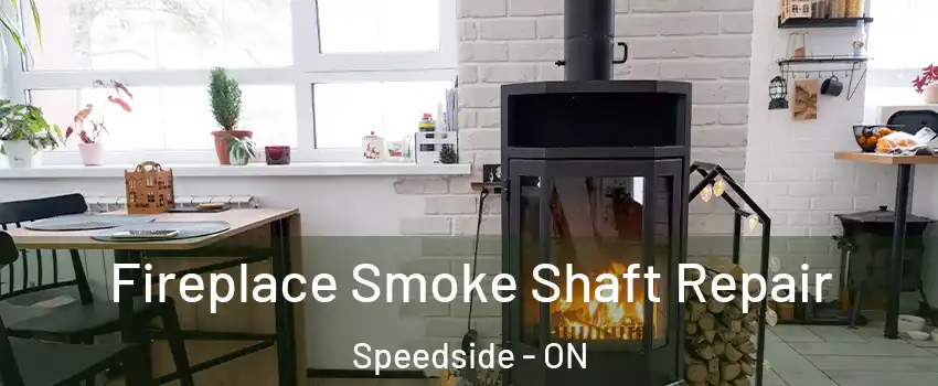  Fireplace Smoke Shaft Repair Speedside - ON