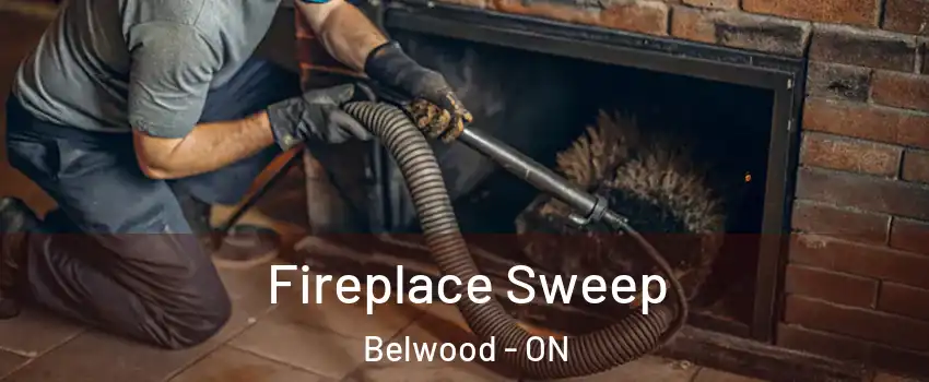  Fireplace Sweep Belwood - ON