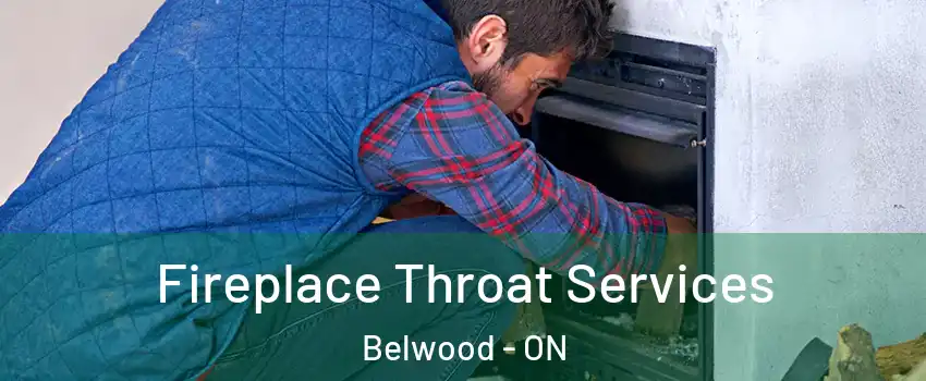  Fireplace Throat Services Belwood - ON