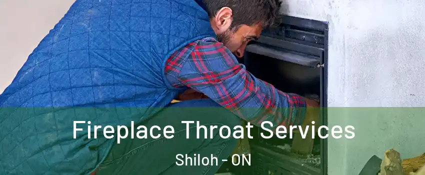  Fireplace Throat Services Shiloh - ON