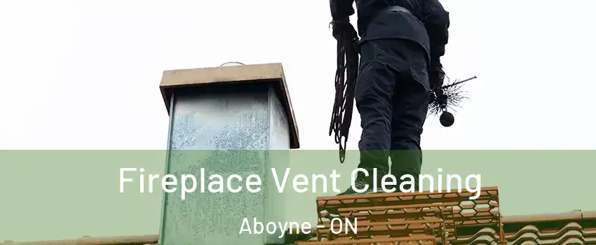  Fireplace Vent Cleaning Aboyne - ON