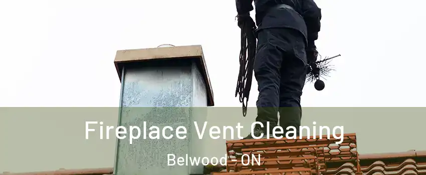  Fireplace Vent Cleaning Belwood - ON