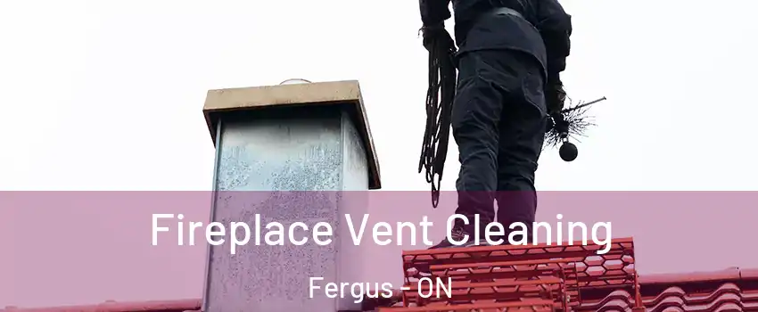  Fireplace Vent Cleaning Fergus - ON