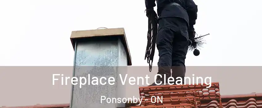  Fireplace Vent Cleaning Ponsonby - ON