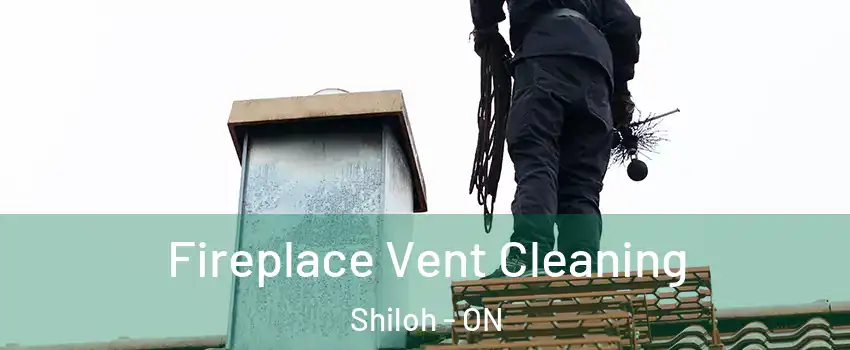  Fireplace Vent Cleaning Shiloh - ON