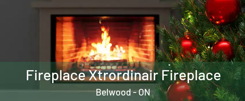  Fireplace Xtrordinair Fireplace Belwood - ON