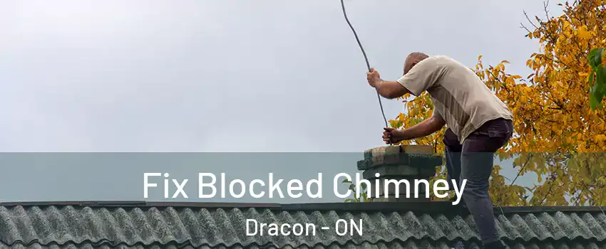  Fix Blocked Chimney Dracon - ON